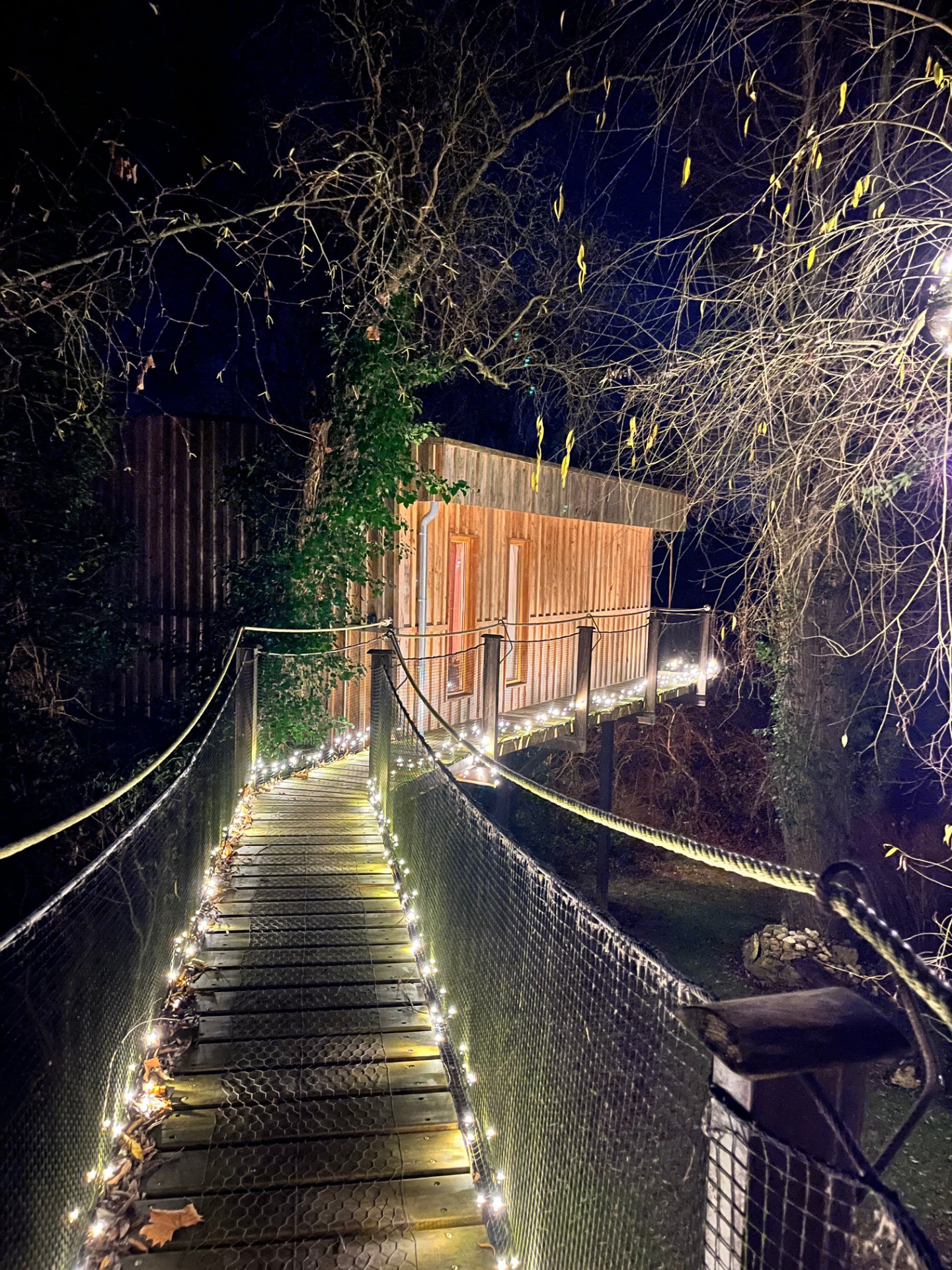 Passerelle grillagée éclairée de guirlandes, escalier en bois, arbres dénudés et maison au fond, nuit.