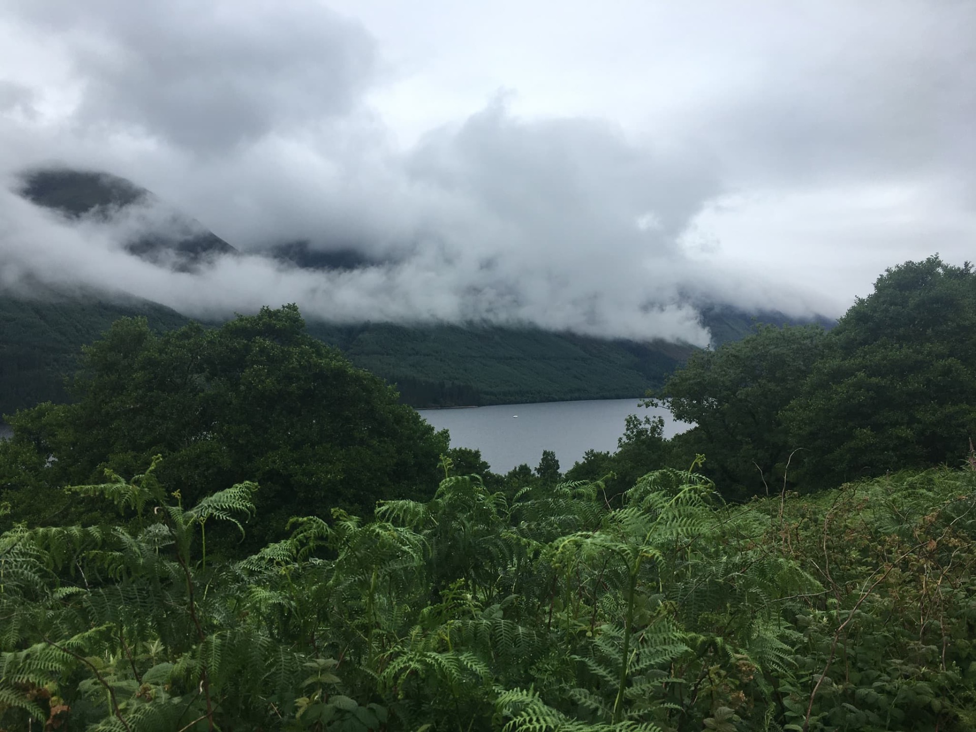 Lac calme entouré de montagnes verdoyantes, nuages bas et brume épaisse au-dessus des reliefs.