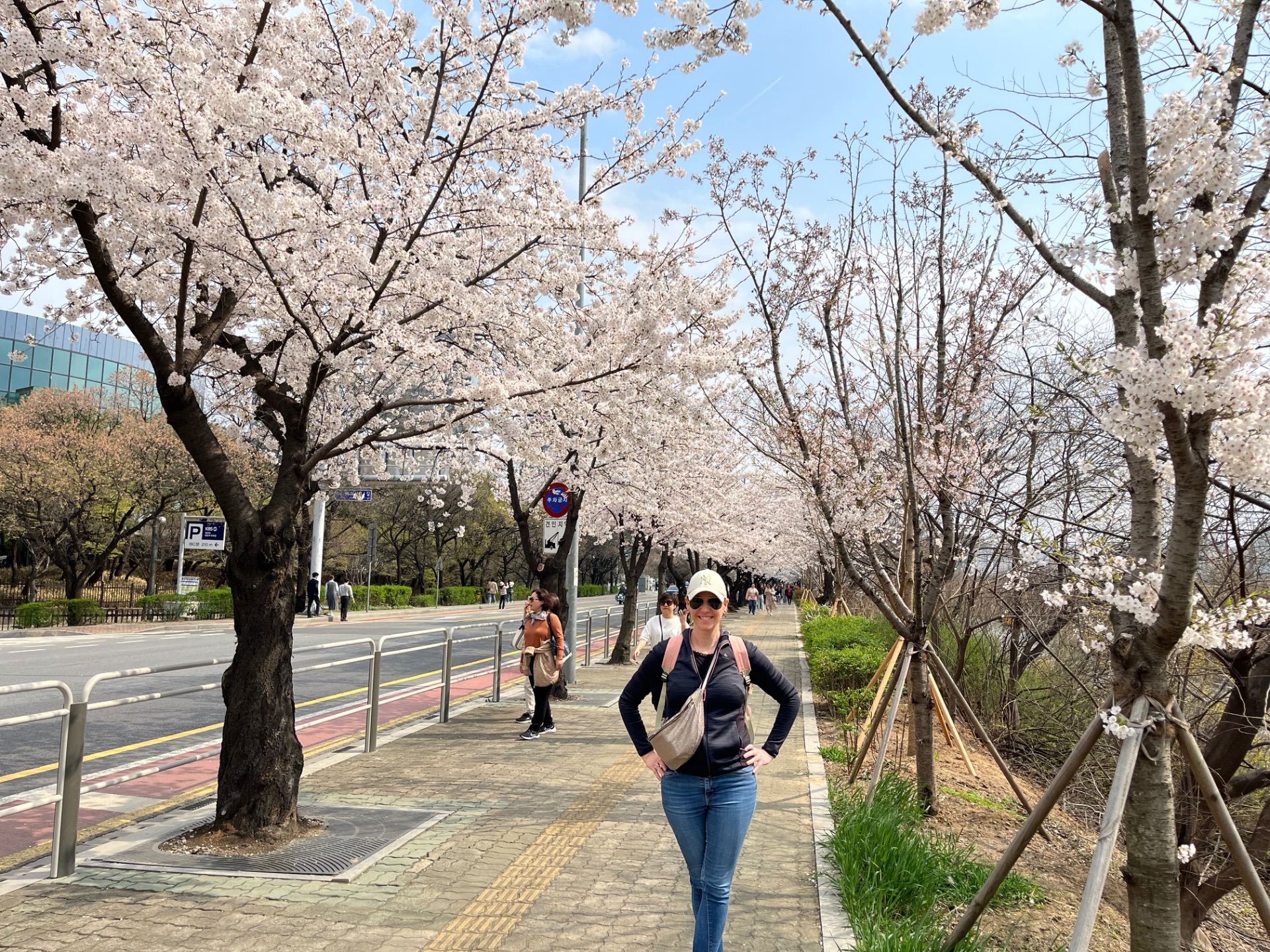 Allée urbaine bordée de cerisiers en fleurs, ciel bleu, passants et une femme souriante au premier plan.